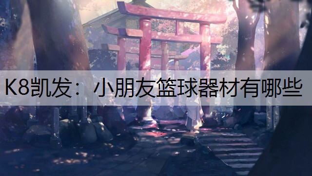 小朋友篮球器材有哪些