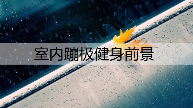室内蹦极健身前景