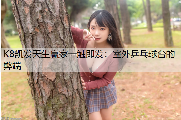 室外乒乓球台的弊端