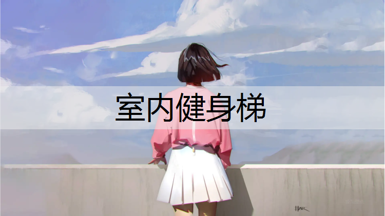 室内健身梯 室内健身梯