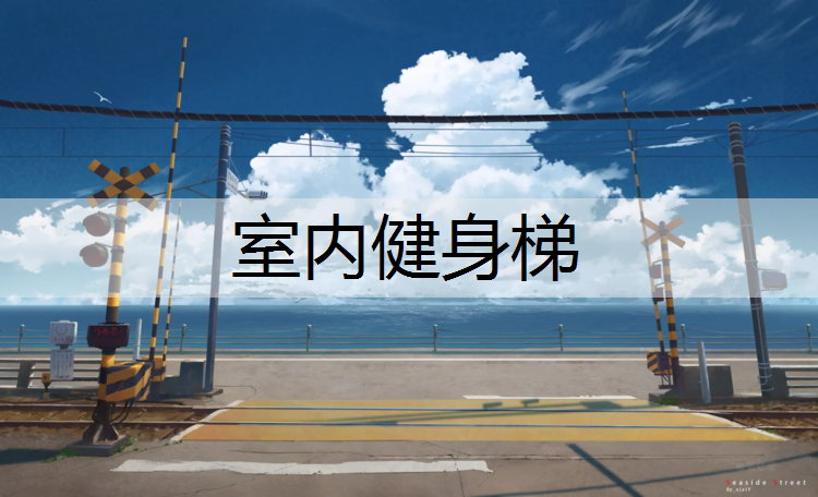 室内健身梯 室内健身梯